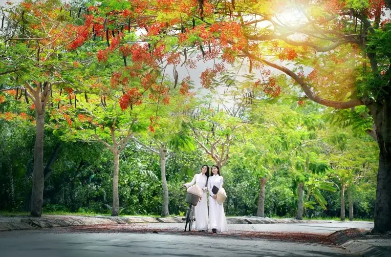 Gái xinh áo dài gợi cảm Gái xinh áo dài gợi cảm