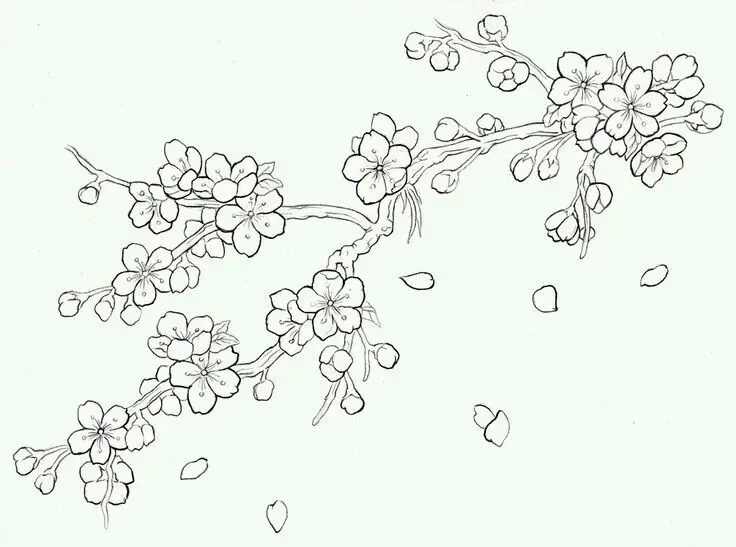 "Link tải tranh tô màu hoa đào đẹp, nhanh chóng và đơn giản." "Link tải tranh tô màu hoa đào đẹp, nhanh chóng và đơn giản."