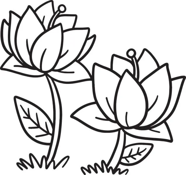 Tranh tô màu hoa sen cho trẻ em, giúp bé phát triển khả năng sáng tạo! Tranh tô màu hoa sen cho trẻ em, giúp bé phát triển khả năng sáng tạo!