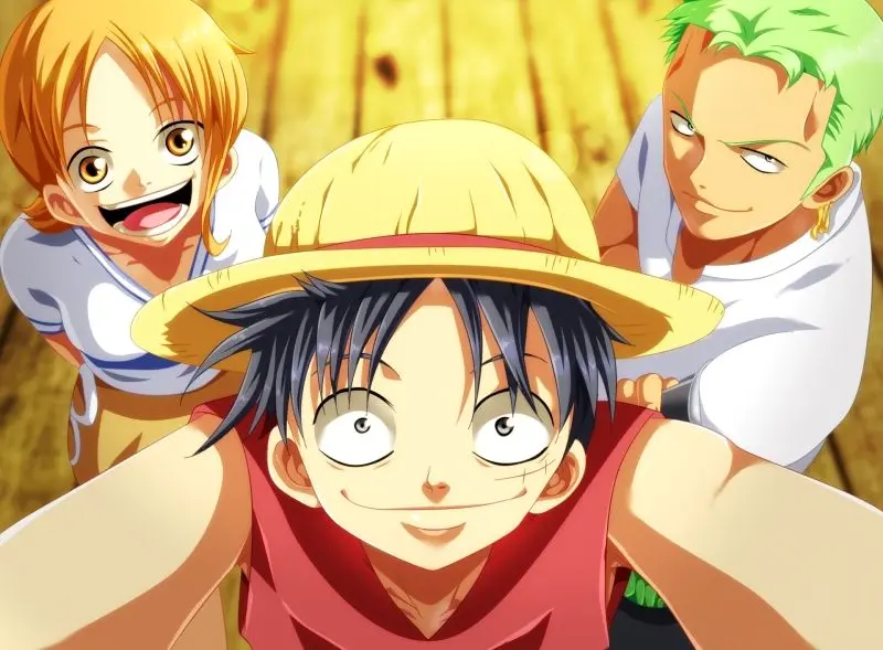 Hình ảnh Luffy và các đồng đội trên hành trình phiêu lưu.