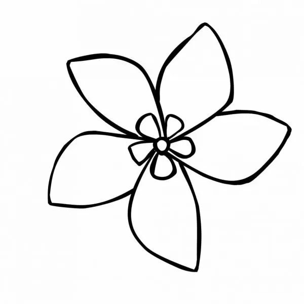 Mỗi bông hoa 5 cánh đều ẩn chứa một câu chuyện riêng.