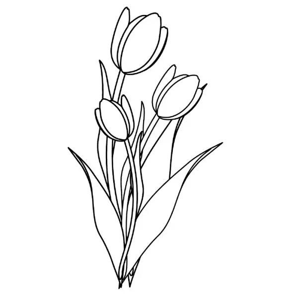 Khám phá bộ sưu tập tranh tô màu hoa tulip đẹp và sinh động. Khám phá bộ sưu tập tranh tô màu hoa tulip đẹp và sinh động.