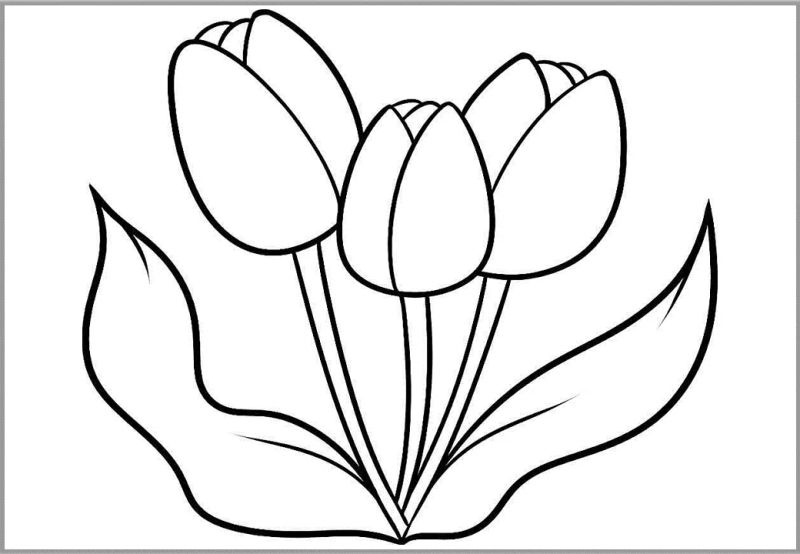 Tranh tô màu hoa tulip đẹp, thích hợp làm quà tặng đầy ý nghĩa. Tranh tô màu hoa tulip đẹp, thích hợp làm quà tặng đầy ý nghĩa.