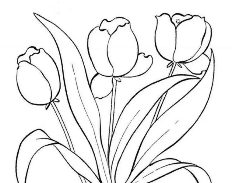 Tranh tô màu hoa tulip cho trẻ em, kích thích sự sáng tạo và khéo léo. Tranh tô màu hoa tulip cho trẻ em, kích thích sự sáng tạo và khéo léo.
