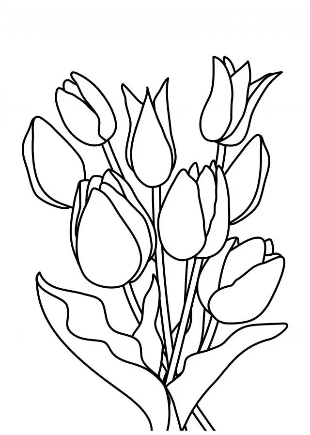 Tranh tô màu hoa tulip giúp trẻ em rèn luyện sự tập trung và kiên nhẫn. Tranh tô màu hoa tulip giúp trẻ em rèn luyện sự tập trung và kiên nhẫn.