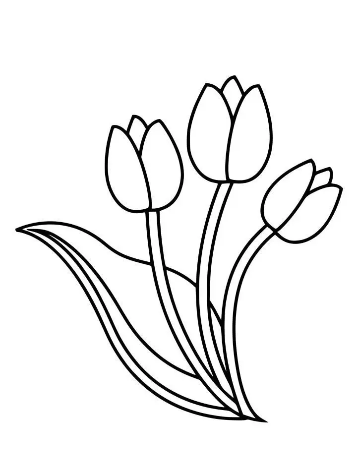 Bộ tranh tô màu cho trẻ em với hình ảnh hoa tulip sinh động và đẹp mắt. Bộ tranh tô màu cho trẻ em với hình ảnh hoa tulip sinh động và đẹp mắt.