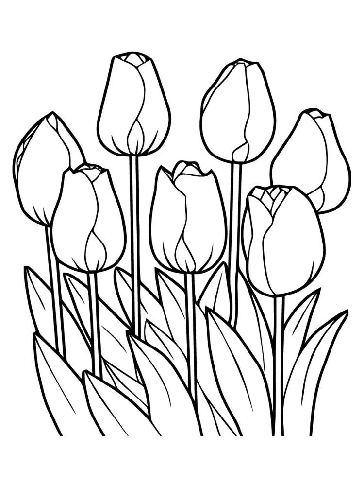 Bé sẽ rất vui khi tô màu hoa tulip trong những tranh tô màu cho trẻ em. Bé sẽ rất vui khi tô màu hoa tulip trong những tranh tô màu cho trẻ em.