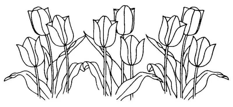 Tranh tô màu hoa tulip cho người lớn giúp thư giãn và giảm stress. Tranh tô màu hoa tulip cho người lớn giúp thư giãn và giảm stress.