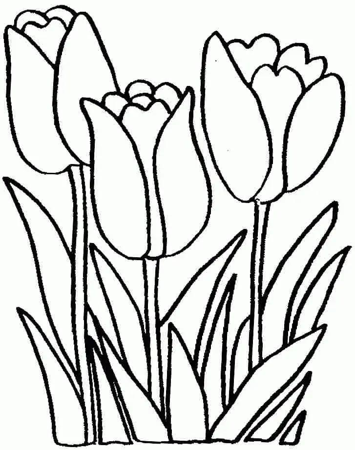 Tạo nên không gian tươi mới với tranh tô màu hoa tulip cho người lớn. Tạo nên không gian tươi mới với tranh tô màu hoa tulip cho người lớn.