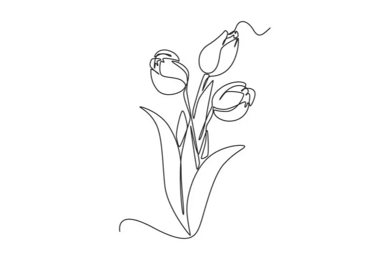 Tranh tô màu hoa tulip cho người lớn – món quà thư giãn tuyệt vời. Tranh tô màu hoa tulip cho người lớn – món quà thư giãn tuyệt vời.
