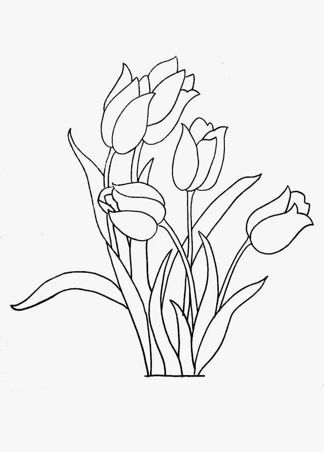 Tranh tô màu hoa tulip cho người lớn, giúp rèn luyện sự kiên nhẫn và sáng tạo. Tranh tô màu hoa tulip cho người lớn, giúp rèn luyện sự kiên nhẫn và sáng tạo.
