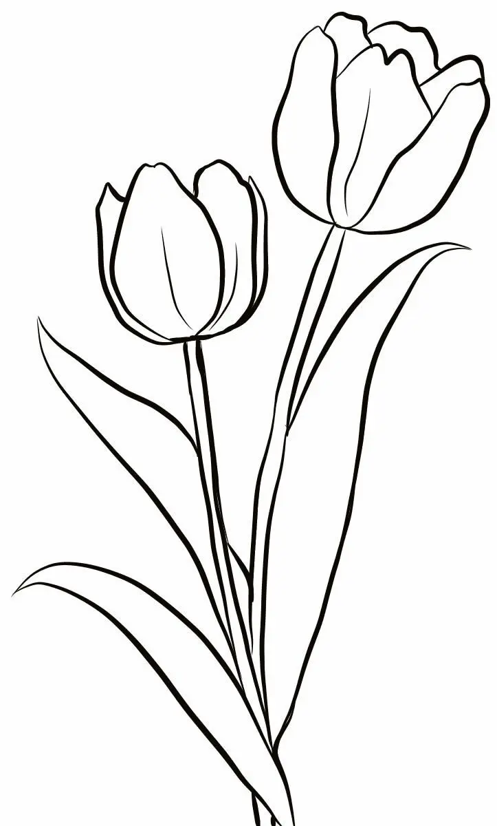 Tận hưởng phút giây thư giãn với tranh tô màu hoa tulip cho người lớn. Tận hưởng phút giây thư giãn với tranh tô màu hoa tulip cho người lớn.