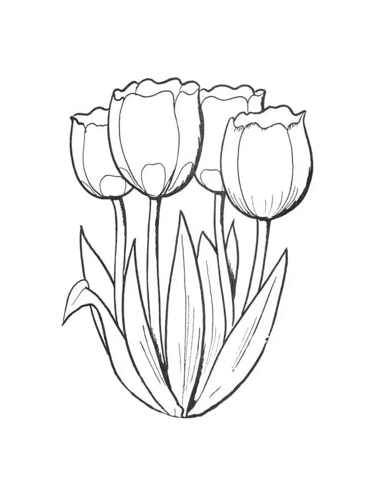 Tranh tô màu hoa tulip cho người lớn – một cách tuyệt vời để giải trí. Tranh tô màu hoa tulip cho người lớn – một cách tuyệt vời để giải trí.