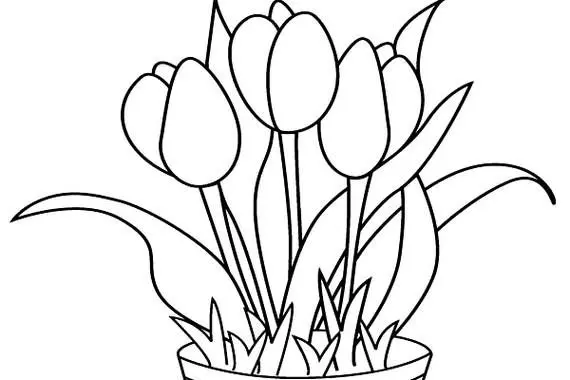 Khám phá niềm vui tô màu hoa tulip trong bộ tranh tô màu cho người lớn. Khám phá niềm vui tô màu hoa tulip trong bộ tranh tô màu cho người lớn.