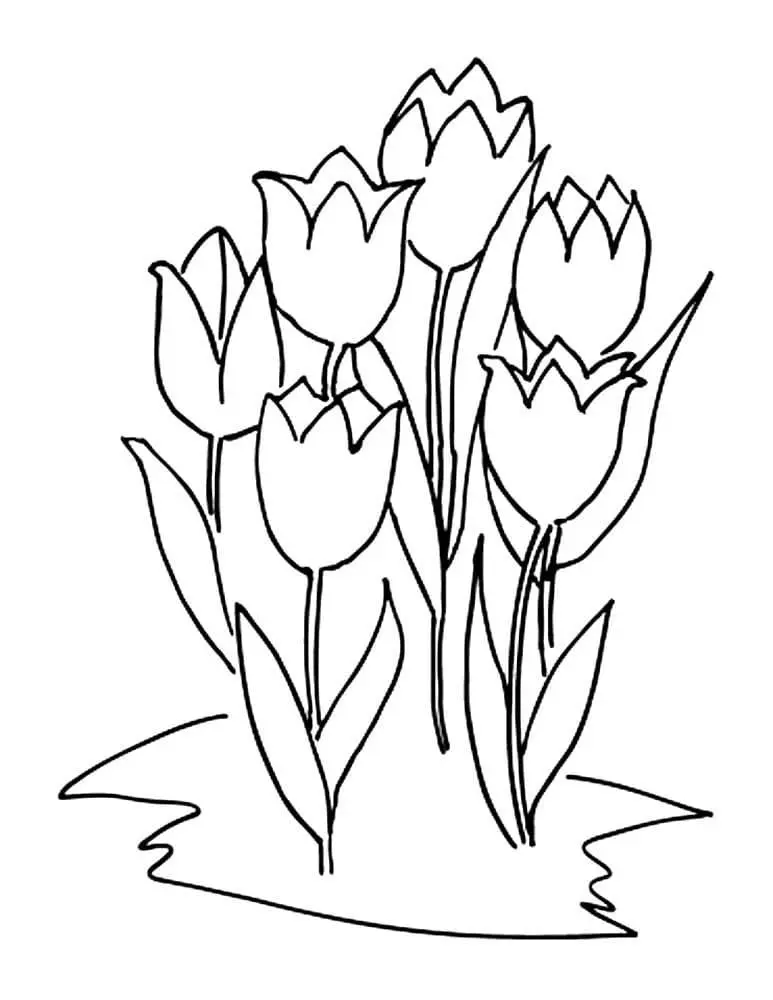 Cảm nhận sự tươi mới của hoa tulip qua từng nét vẽ trong tranh tô màu. Cảm nhận sự tươi mới của hoa tulip qua từng nét vẽ trong tranh tô màu.