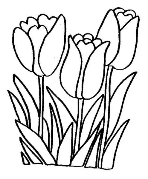 Thư giãn với tranh tô màu hoa tulip cho người lớn, mang lại sự tĩnh lặng. Thư giãn với tranh tô màu hoa tulip cho người lớn, mang lại sự tĩnh lặng.
