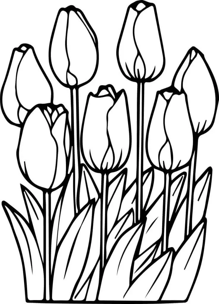 Khám phá nghệ thuật tô màu hoa tulip trong bộ tranh tô màu cho người lớn. Khám phá nghệ thuật tô màu hoa tulip trong bộ tranh tô màu cho người lớn.