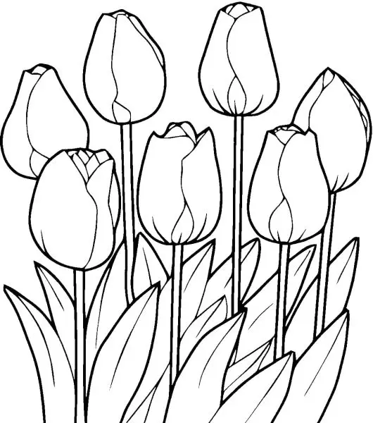 Tạo không gian thư giãn với bộ tranh tô màu hoa tulip cho người lớn. Tạo không gian thư giãn với bộ tranh tô màu hoa tulip cho người lớn.