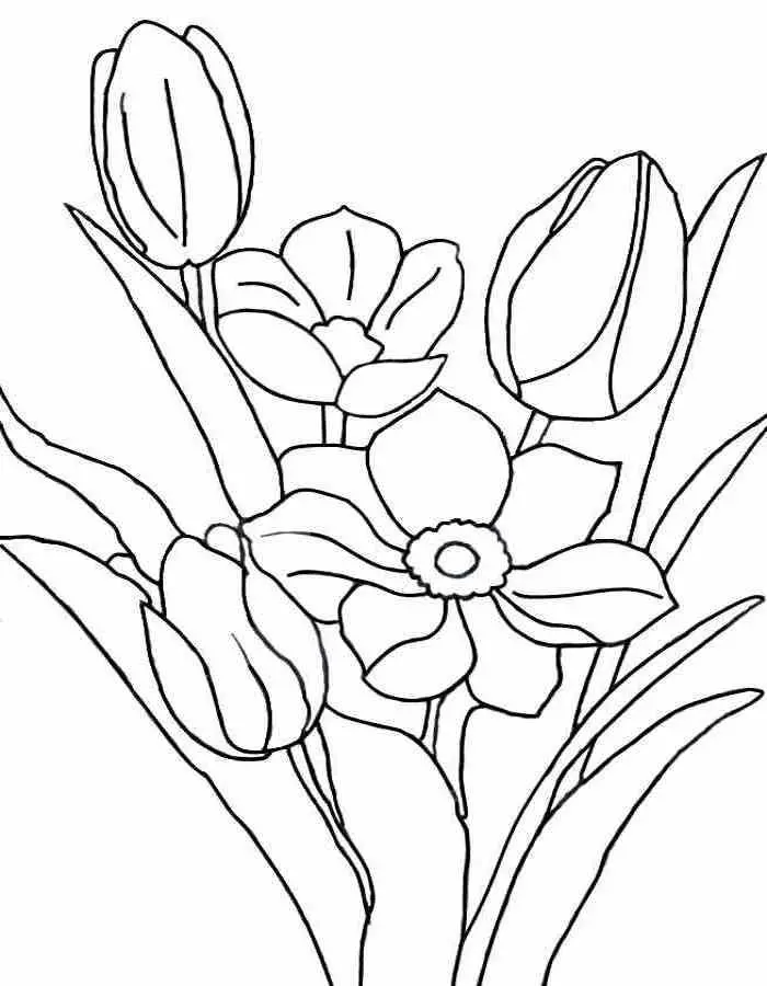 Đưa màu sắc vào cuộc sống với tranh tô màu hoa tulip đẹp. Đưa màu sắc vào cuộc sống với tranh tô màu hoa tulip đẹp.