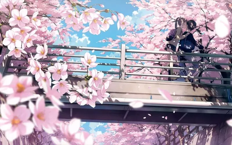 Ảnh anime làm hình nền về người với thiết kế tinh tế, sinh động. Ảnh anime làm hình nền về người với thiết kế tinh tế, sinh động.