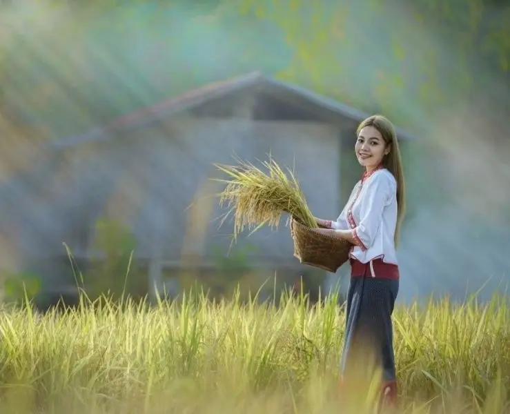 Ảnh gái quê xinh đẹp tinh khôi Ảnh gái quê xinh đẹp tinh khôi