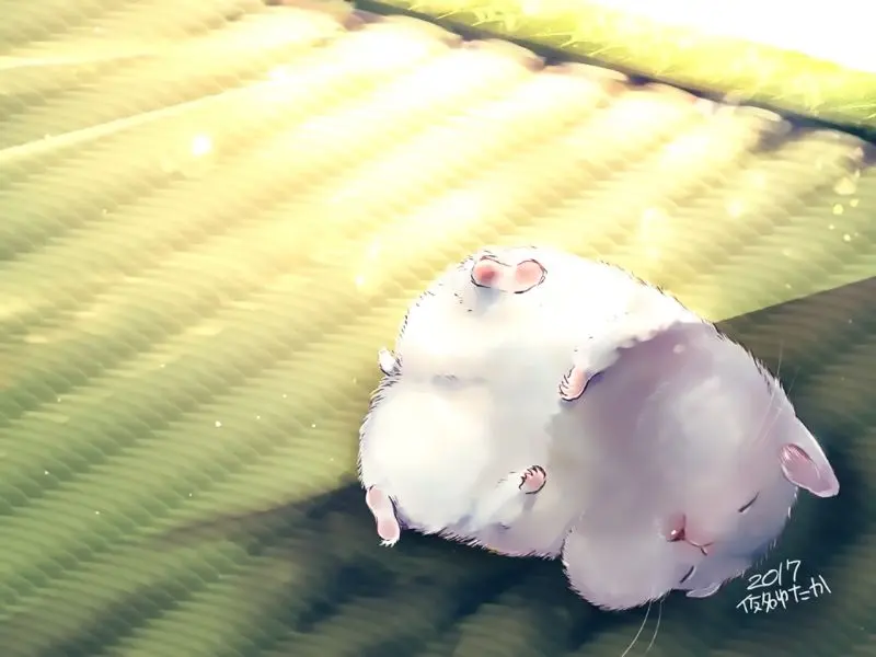 Ngắm ngay ảnh anime động vật dễ thương ngộ nghĩnh! Ngắm ngay ảnh anime động vật dễ thương ngộ nghĩnh!