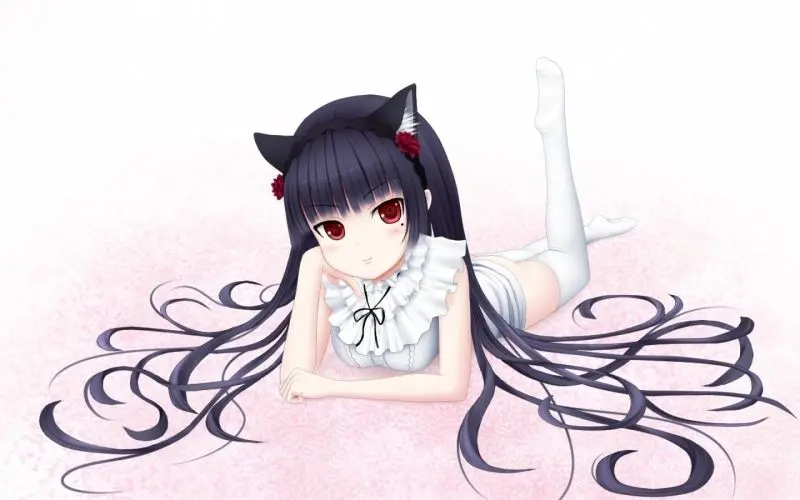 Thưởng thức hình ảnh anime mèo nữ dễ thương mỗi ngày Thưởng thức hình ảnh anime mèo nữ dễ thương mỗi ngày
