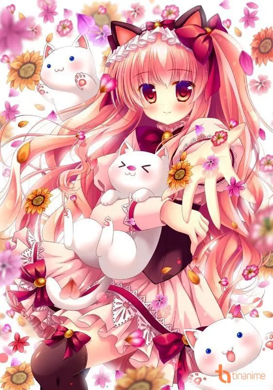 Tìm ngay ảnh anime mèo nữ siêu dễ thương cho bộ sưu tập của bạn Tìm ngay ảnh anime mèo nữ siêu dễ thương cho bộ sưu tập của bạn