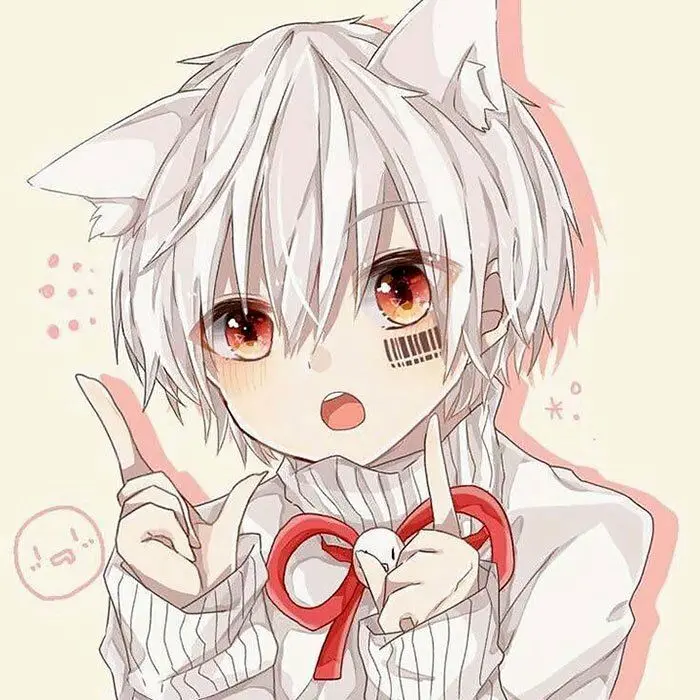 Mèo anime nữ dễ thương – xoa dịu tâm hồn của bạn Mèo anime nữ dễ thương – xoa dịu tâm hồn của bạn