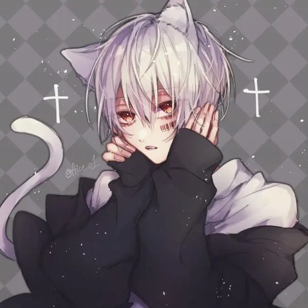 Cảm nhận sức hút từ ảnh anime mèo nam phong cách cuốn hút Cảm nhận sức hút từ ảnh anime mèo nam phong cách cuốn hút