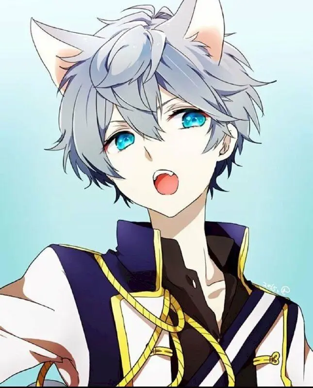 Ảnh anime mèo nam đẹp cho tim fan anime ở mọi nơi Ảnh anime mèo nam đẹp cho tim fan anime ở mọi nơi