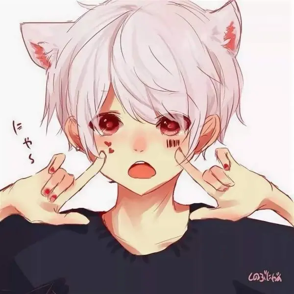 Mèo anime nam làm nổi bật cả màn hình của bạn Mèo anime nam làm nổi bật cả màn hình của bạn