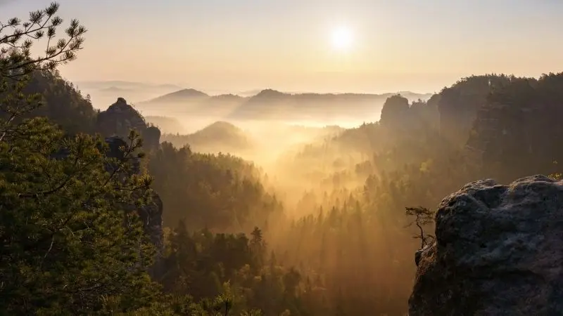 Ánh sáng mặt trời lấp ló qua tán lá, phong cảnh thêm phần huyền bí Ánh sáng mặt trời lấp ló qua tán lá, phong cảnh thêm phần huyền bí