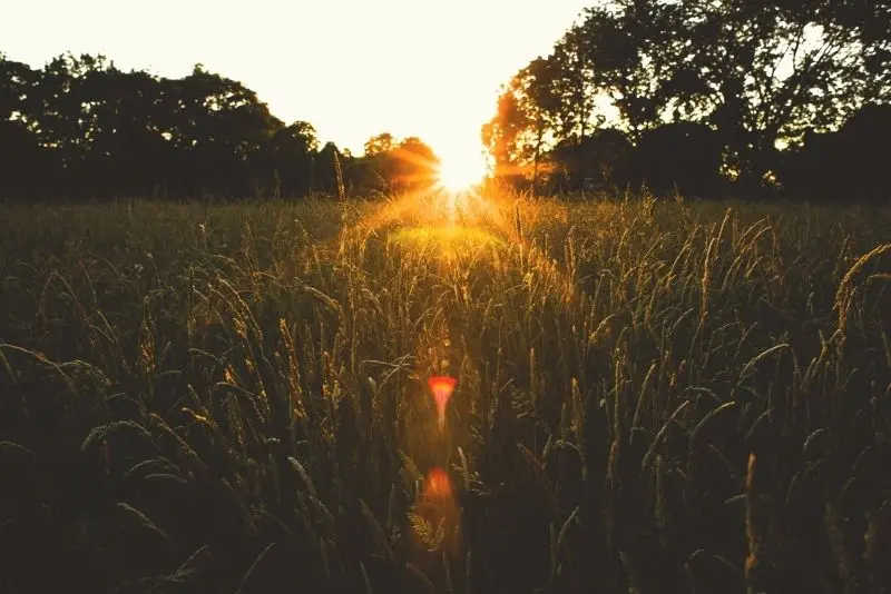 Ánh sáng mặt trời buổi sớm tỏa sáng trên phong cảnh thanh bình Ánh sáng mặt trời buổi sớm tỏa sáng trên phong cảnh thanh bình