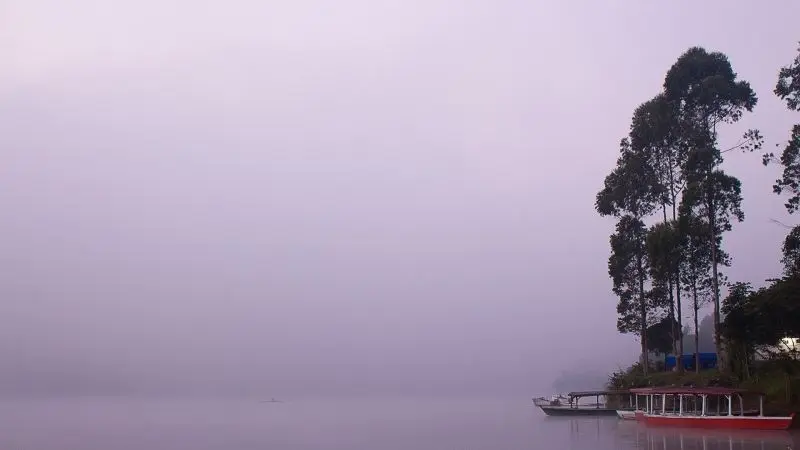Sương mờ bao quanh bến thuyền, tạo nên một khung cảnh thật quyến rũ. Sương mờ bao quanh bến thuyền, tạo nên một khung cảnh thật quyến rũ.