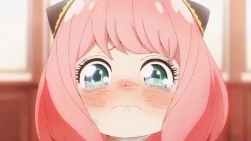 Meme anime hài hước khiến mọi người vui vẻ