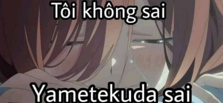 Meme anime hài hước và độc đáo