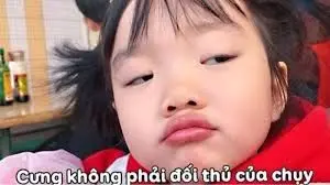 Meme người được yêu thích trên mạng xã hội