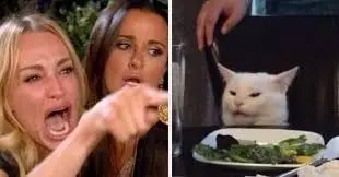 Meme người thu hút sự chú ý của cộng đồng
