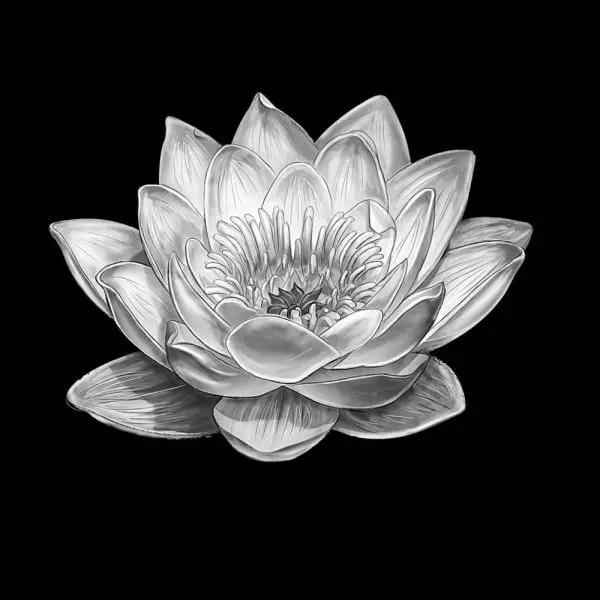 Avatar ảnh buồn đám tang, thể hiện cảm xúc đau buồn và tiếc thương Avatar ảnh buồn đám tang, thể hiện cảm xúc đau buồn và tiếc thương