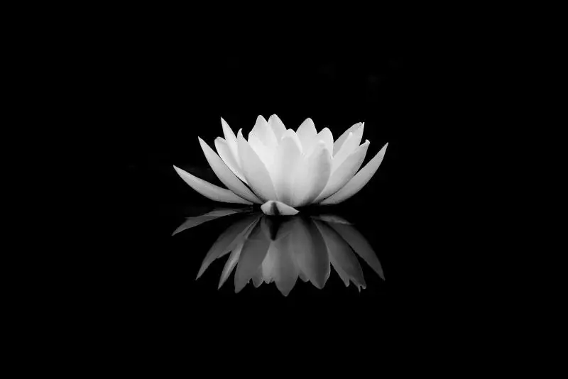 Avatar ảnh buồn đám tang, giúp bạn thể hiện lòng thành kính Avatar ảnh buồn đám tang, giúp bạn thể hiện lòng thành kính
