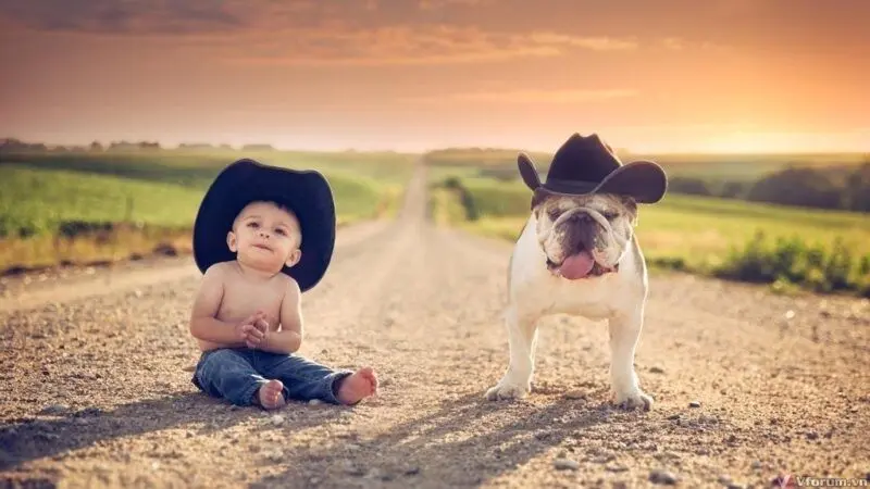 Mang hình nền em bé dễ thương lên máy tính của bạn ngay hôm nay Mang hình nền em bé dễ thương lên máy tính của bạn ngay hôm nay