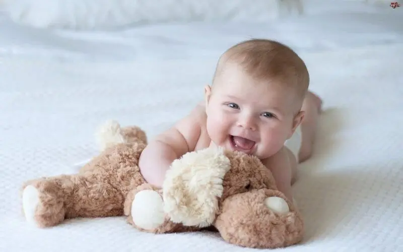 Màn hình máy tính ngập tràn sự dễ thương với hình nền em bé Màn hình máy tính ngập tràn sự dễ thương với hình nền em bé