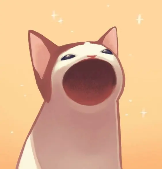 Avatar bựa mèo cute, điểm nhấn hài hước với phong cách ngộ nghĩnh