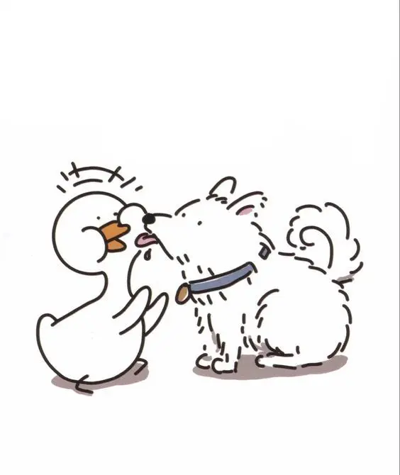 Ảnh avatar vịt cute, mang lại sự dễ thương và năng lượng tích cực Ảnh avatar vịt cute, mang lại sự dễ thương và năng lượng tích cực