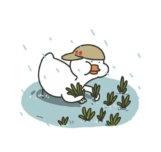 Ảnh avatar vịt cute, điểm nhấn lý tưởng để làm mới hình đại diện Ảnh avatar vịt cute, điểm nhấn lý tưởng để làm mới hình đại diện