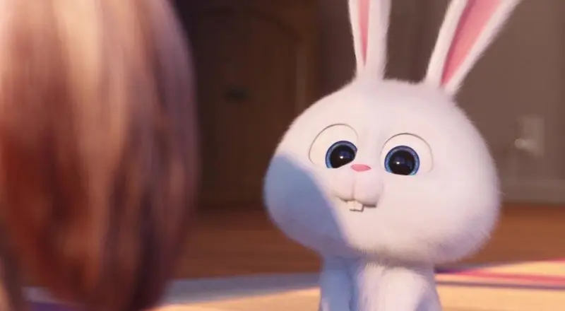 Hình ảnh thỏ hoạt hình cute bên cạnh khung cảnh mùa xuân. Hình ảnh thỏ hoạt hình cute bên cạnh khung cảnh mùa xuân.