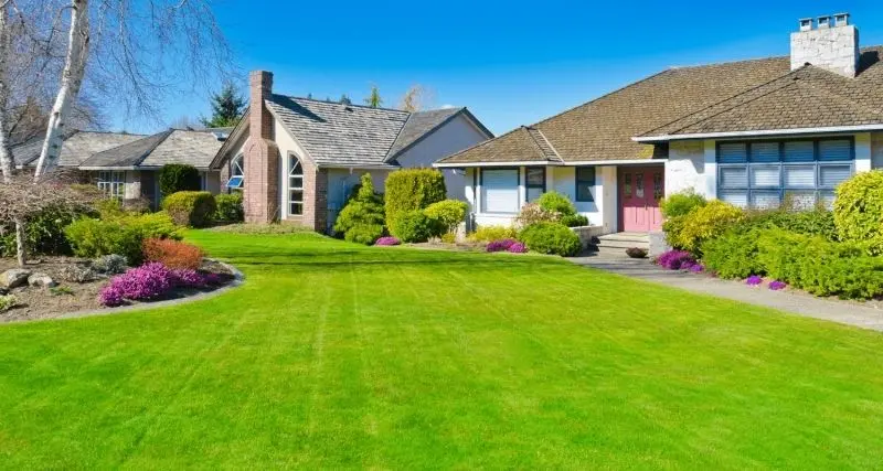 Phong cảnh nhà vườn xanh mướt, nơi thiên nhiên tươi đẹp kết hợp với không gian yên bình.