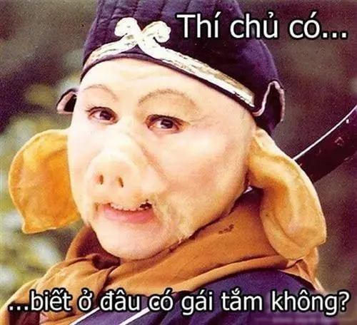Meme chế ngộ nghĩnh giúp bạn thư giãn