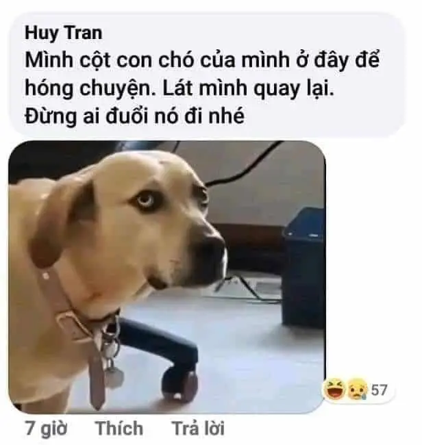 Meme chế hài hước mang lại niềm vui
